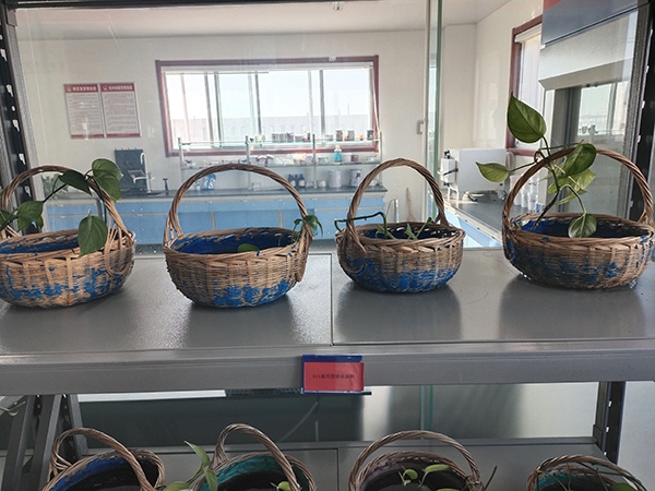 微信图片_20220621181306