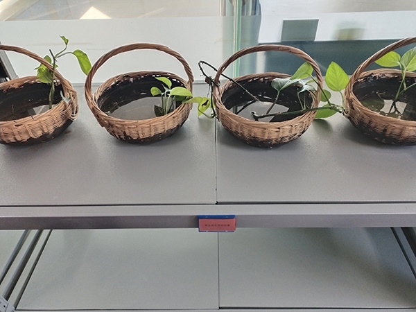 微信图片_20220621181327