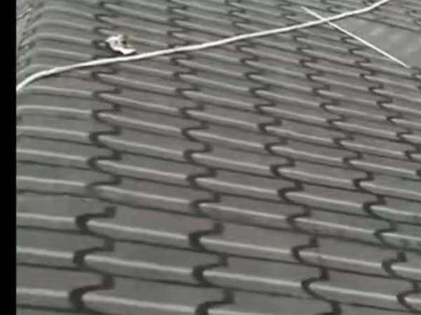 微信图片_20220621180958